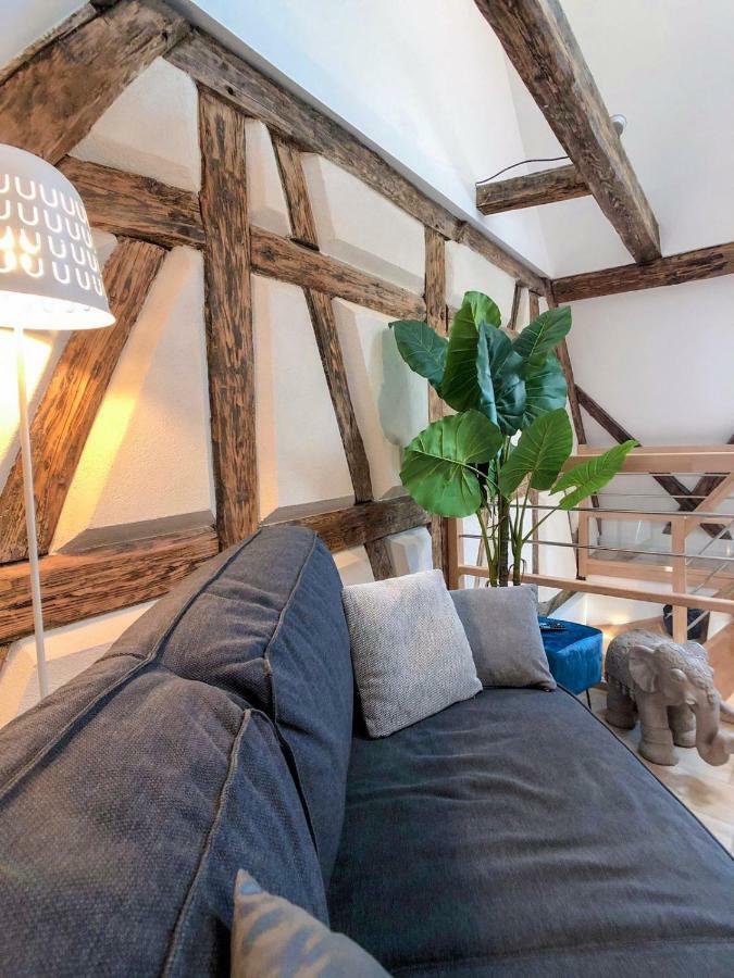 Beauty & The Beast - Old Town Cosy Apartments Colmar Kültér fotó